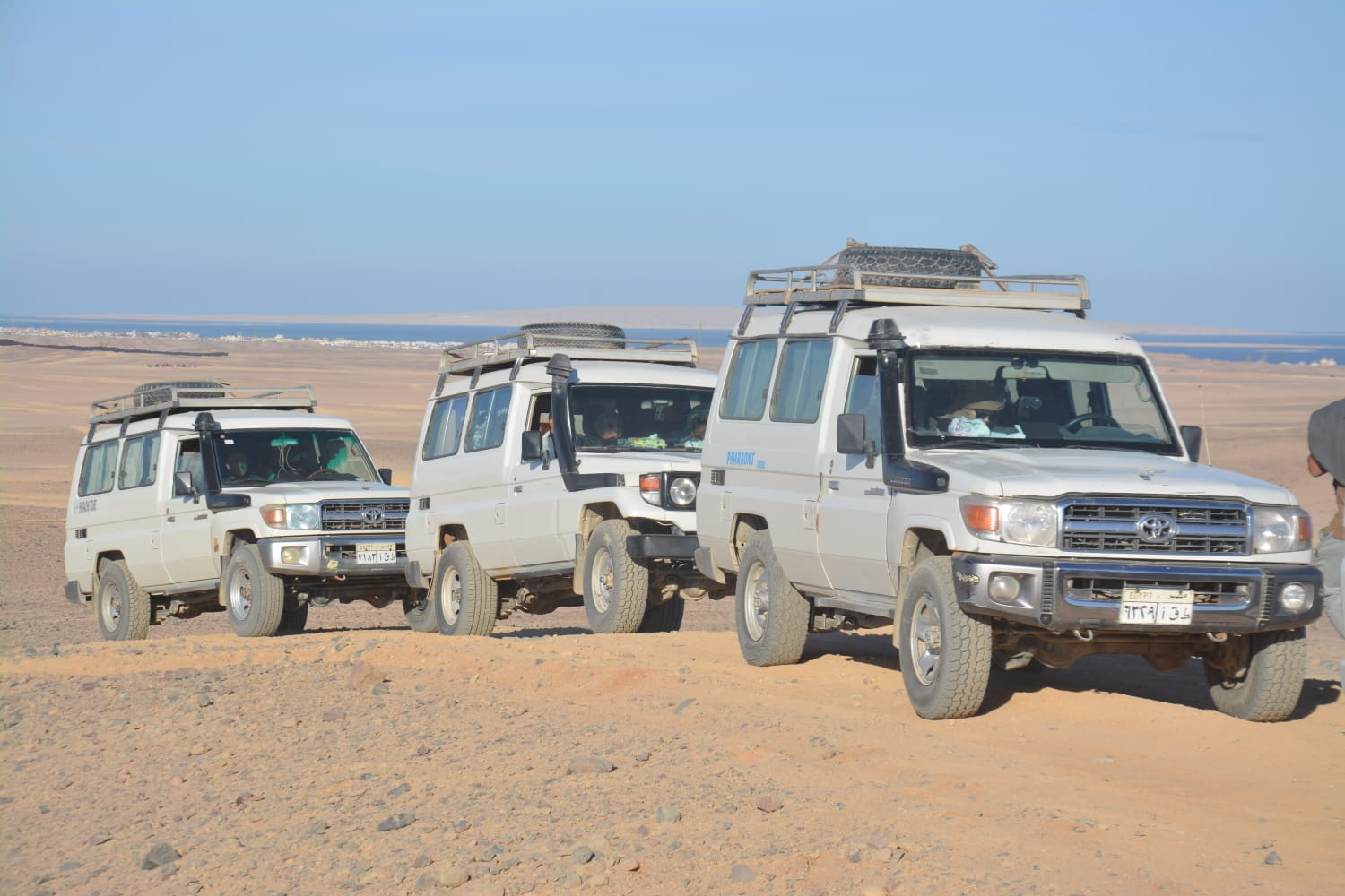 Super Desert Safari - Image 2