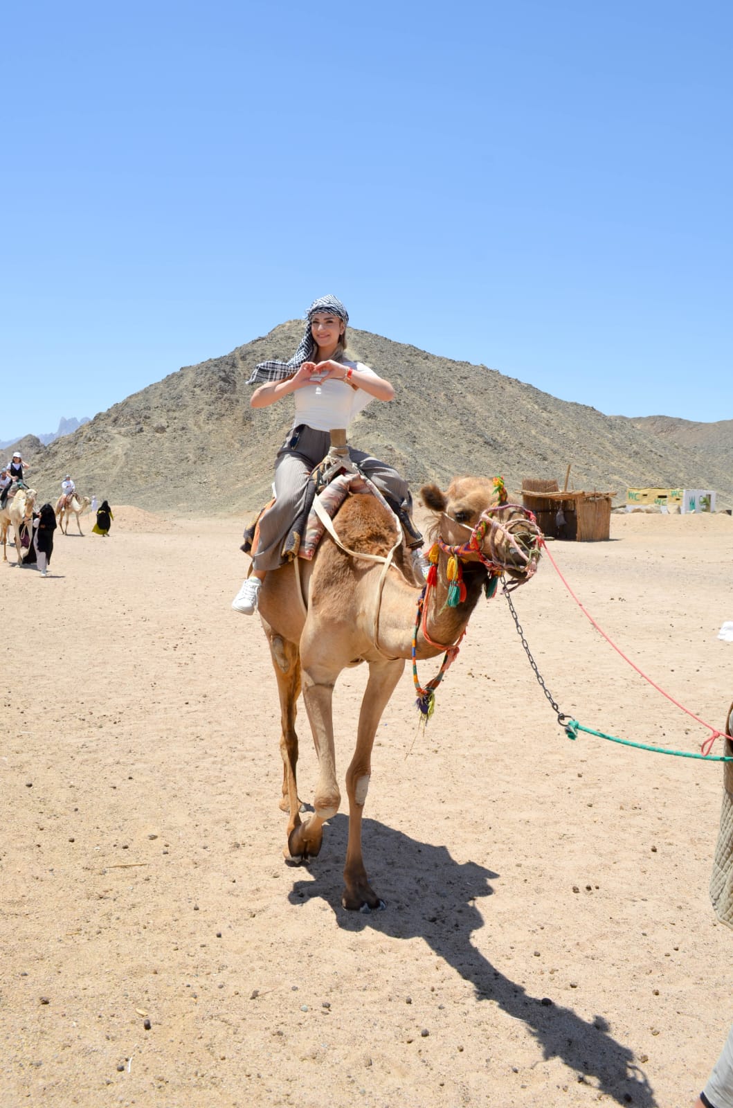 Super Desert Safari - Image 3