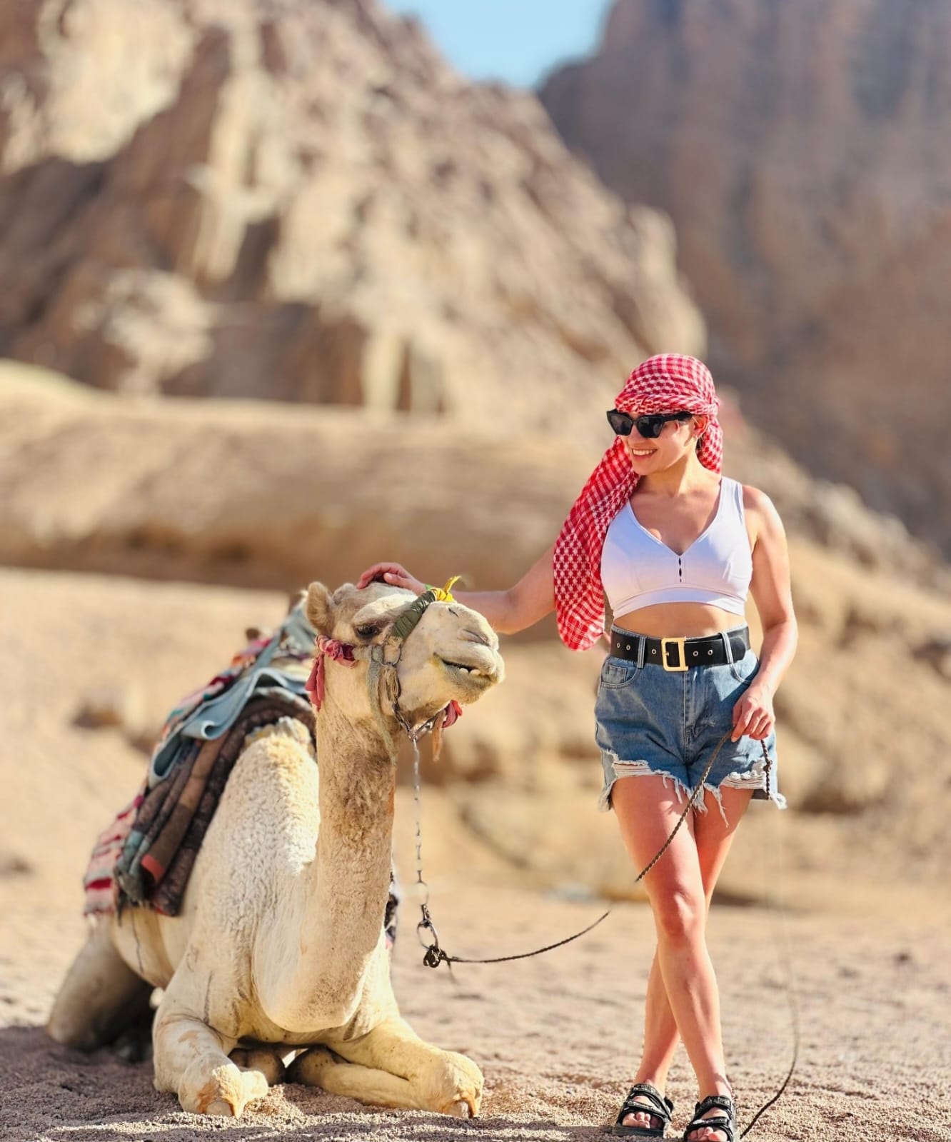 Super Desert Safari - Image 5